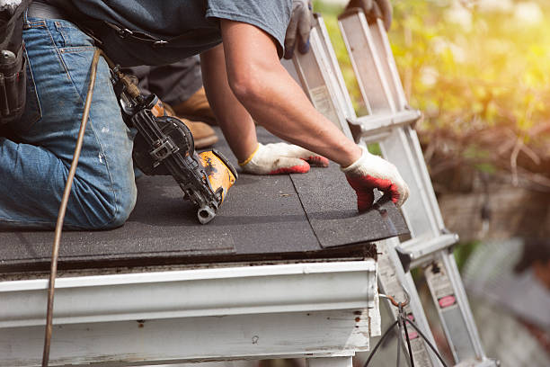 Best Local Roofing Companies  in Anahola, HI