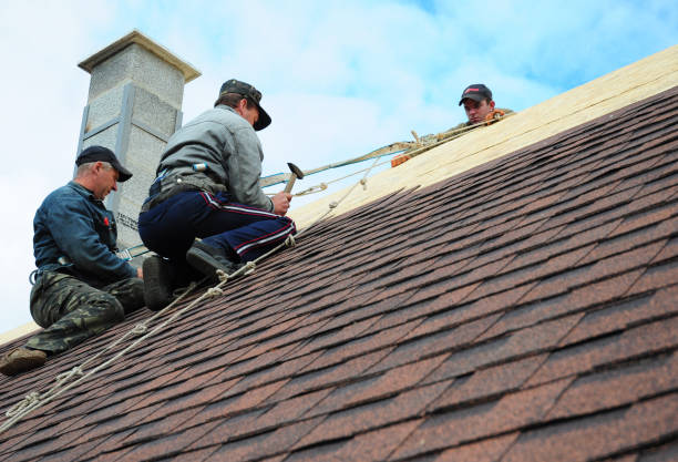 Professional Roofing Contractor in Anahola, HI